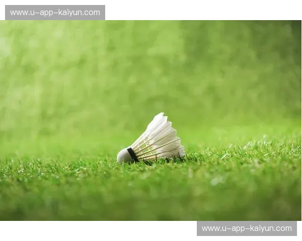 羽毛球画中画观看，享受不一样的视觉盛宴